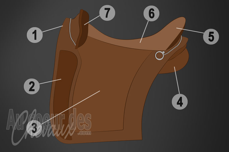 La Selle type ib�rique, tradition �questre, ergonomie de maintien et adaptation aux chevaux baroques