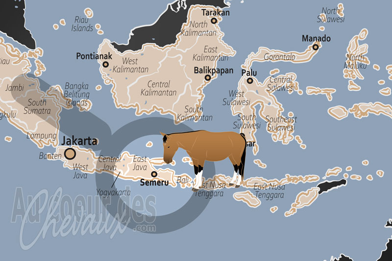 La localisation du Semeru en Indon�sie