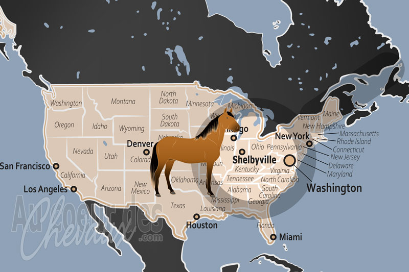 La localisation de Shelbyville aux �tats Unis