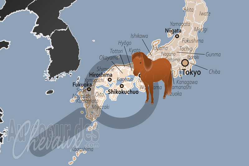 La localisation de Shikokuchuo au Japon