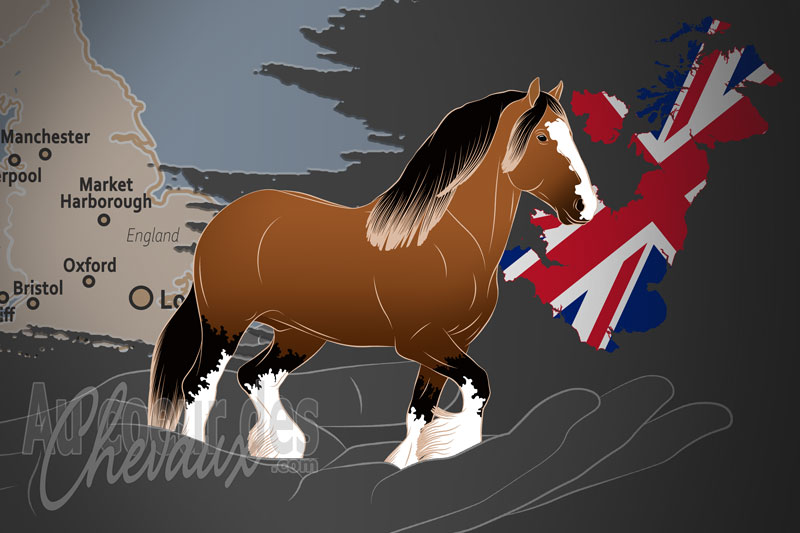 La Soci�t� de race du Cheval Shire, une organisation qui g�re le cheval shire au royaume uni