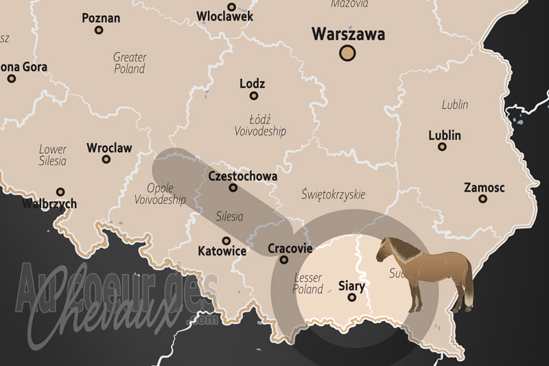 La localisation de Siary en Pologne