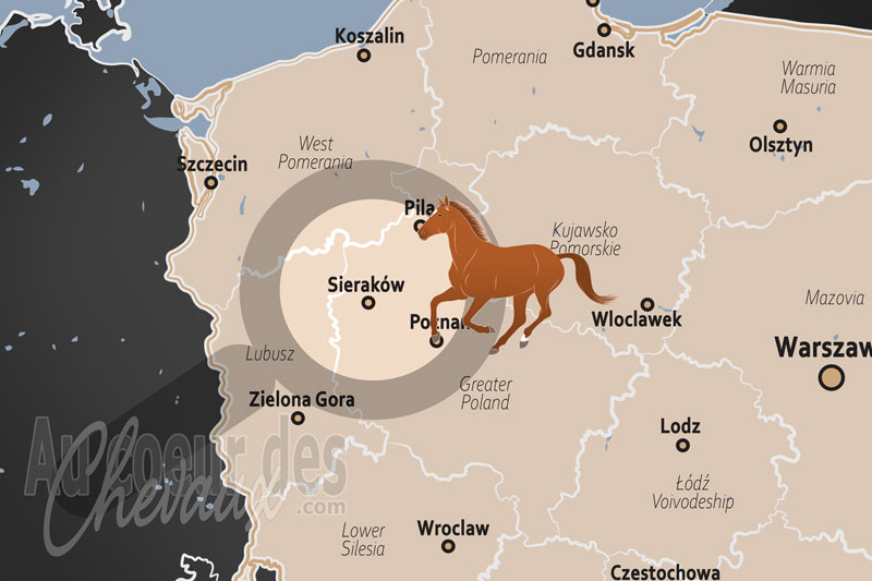 La localisation de Sierak�w en Pologne