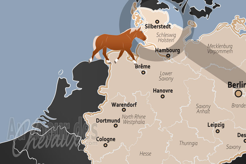 La localisation de Silberstedt en Allemagne