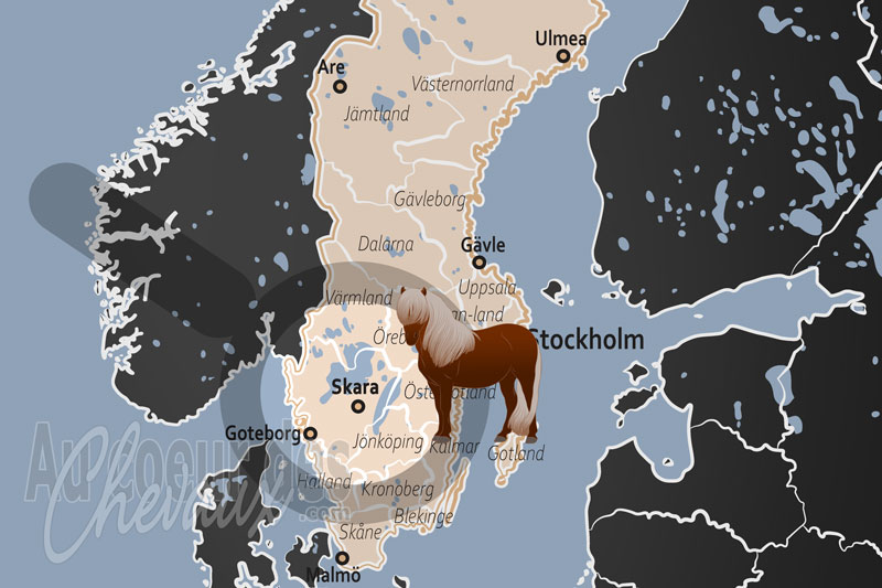 La localisation de Skara en Su�de