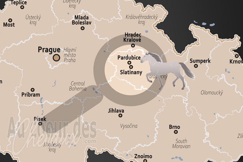 La localisation de Slatinany en Tch�quie