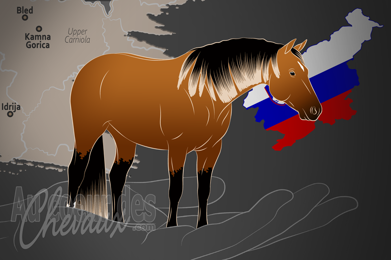 L'Association Slov�ne du Quarter Horse, une organisation qui g�re le quarter horse en slov�nie