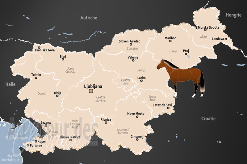 La Slov�nie, terre natale du lipizzan et tradition alpine