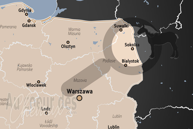 La localisation de Sokolka en Pologne