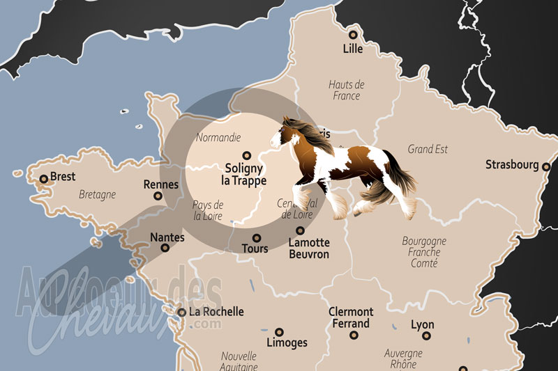La localisation de Soligny la Trappe en France