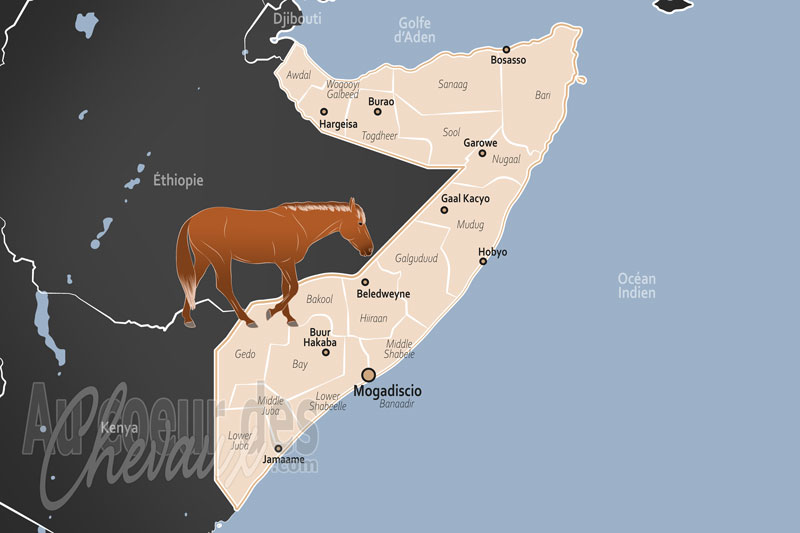 La Somalie, symbole de prestige et alli� du nomadisme