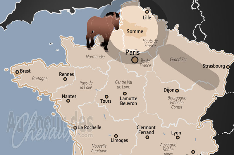 Le D�partement de la Somme, entre l'�l�gance du henson et la force des g�ants du nord