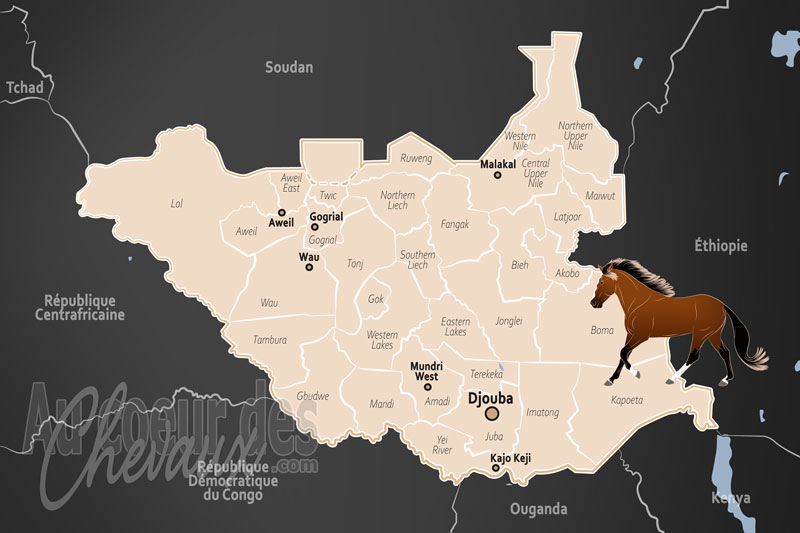 La carte g�ographique du Soudan du Sud