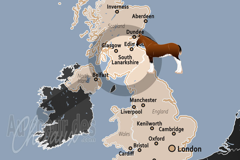 Le Lanarkshire du Sud, terre originelle du clydesdale et berceau de l'excellence agraire