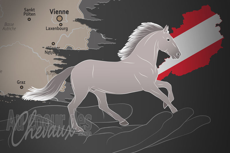 L'�cole d'�quitation Espagnole de Vienne, une organisation qui g�re le cheval lipizzan en autriche