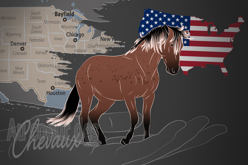 Le Registre des Mustangs Espagnols, une organisation qui g�re le cheval colonial espagnol et le mustang espagnol aux �tats unis