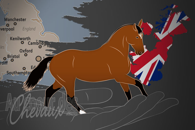 L'�levage des Chevaux de Sport de Grande Bretagne, un organisme de gestion du cheval de sport britannique au royaume uni