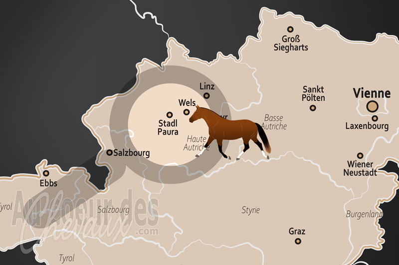 La localisation dans le pays de Stadl Paura en Autriche