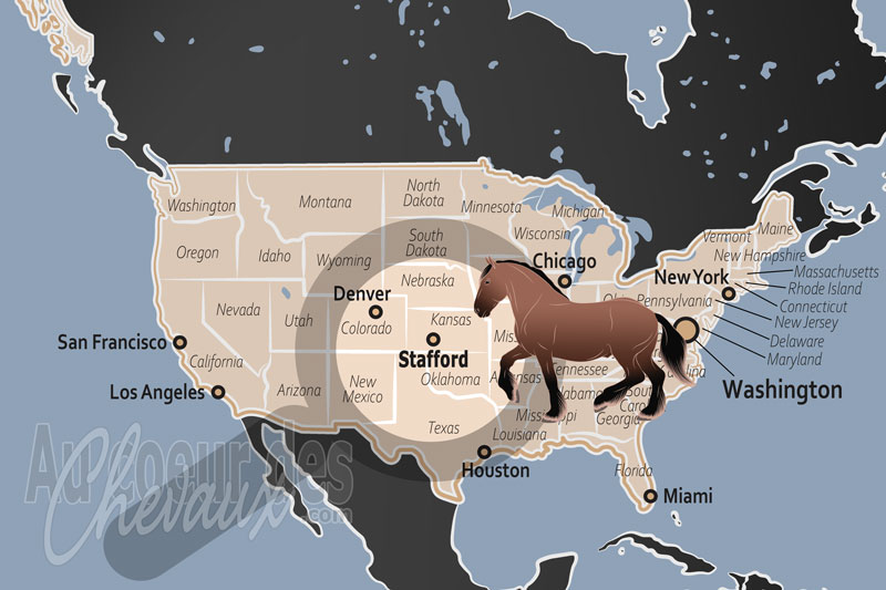 La localisation de Stafford aux �tats Unis