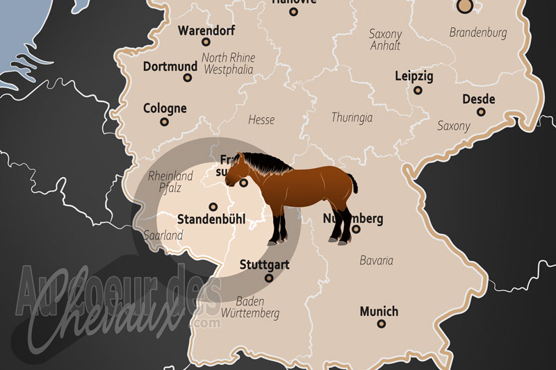 La localisation de Standenb�hl en Allemagne