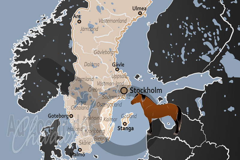 Stanga, �picentre de l'identit� �questre et des traditions ancestrales de gotland