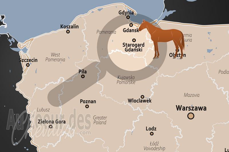 La localisation de Starogard Gdanski en Pologne