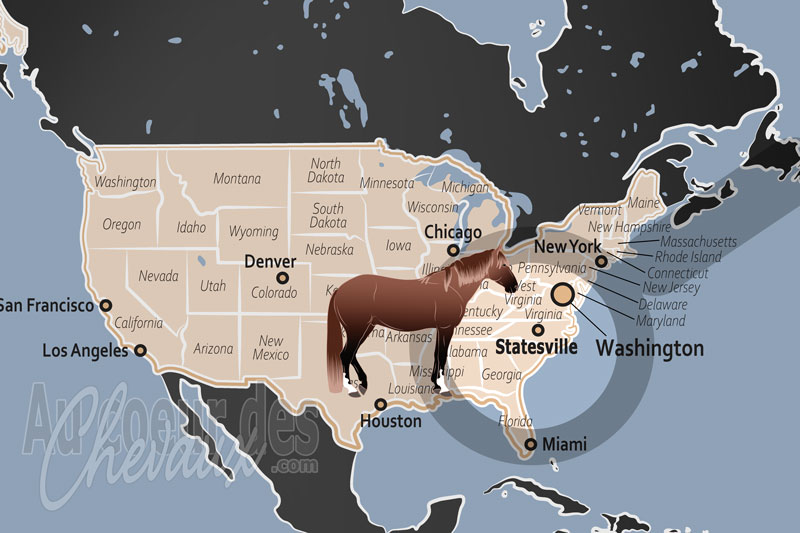 La localisation dans le pays de Statesville aux �tats Unis