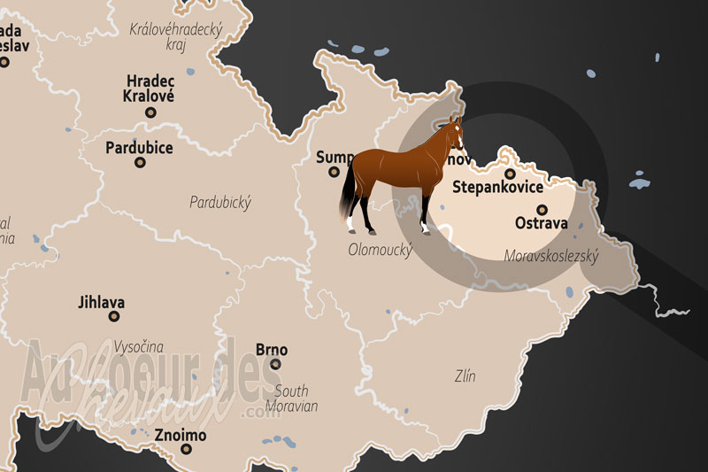 La localisation de Stepankovice en Tch�quie