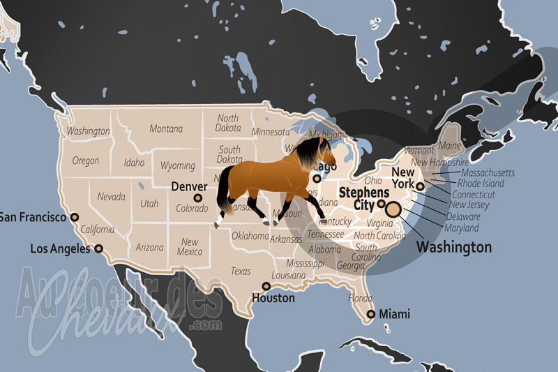 La localisation de Stephens City aux �tats Unis