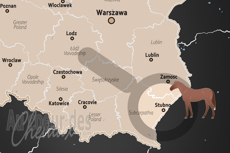 La localisation de Stubno en Pologne