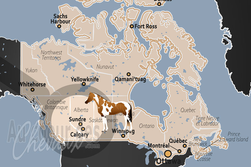 La localisation de Sundre au Canada