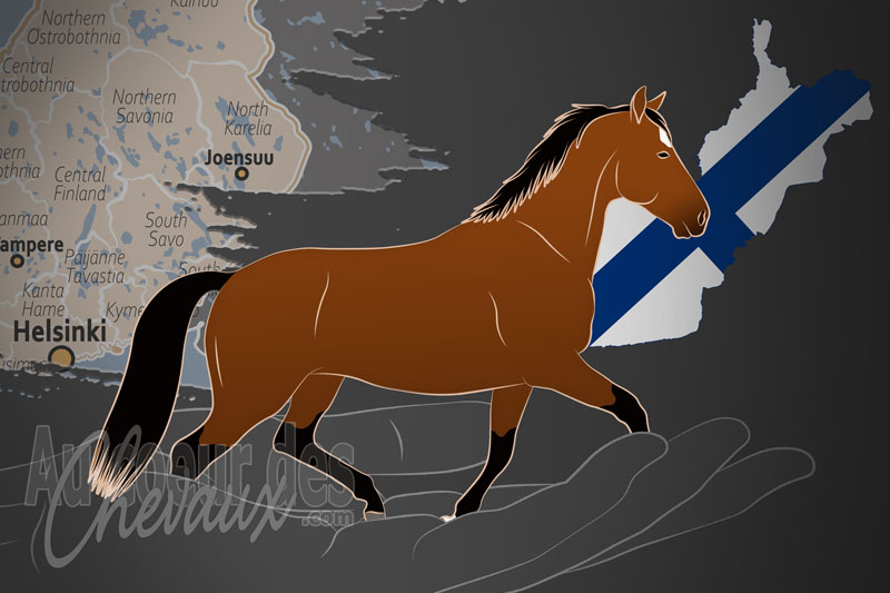 La Suomen Ratsujalostusliiton un organisme de race en Finlande