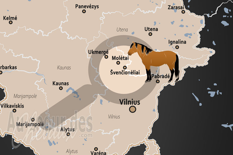 La localisation de Svencioneliai en Lituanie