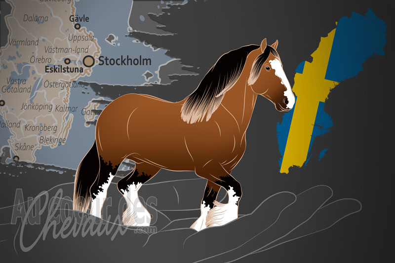 L'Association Su�doise des chevaux Clydesdale et Shire, une organisation qui g�re le clydesdale et le cheval shire en su�de