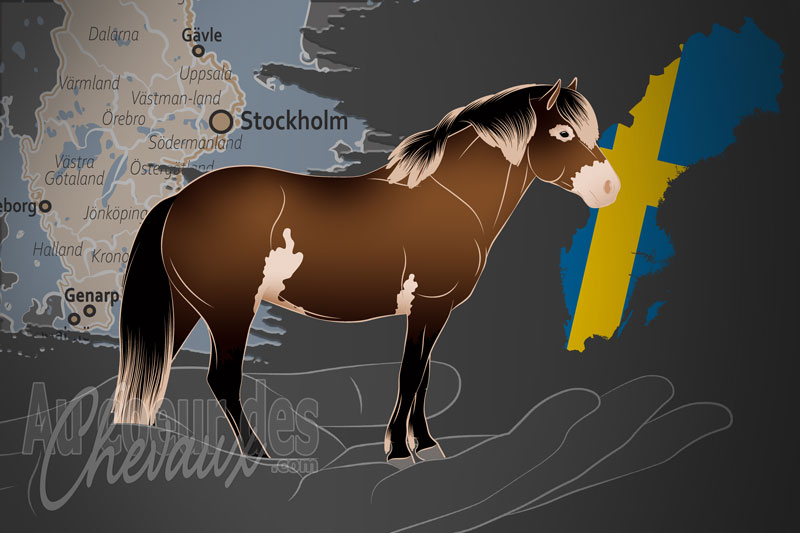 La Soci�t� Su�doise du Poney Exmoor, une organisation qui g�re le poney exmoor en su�de