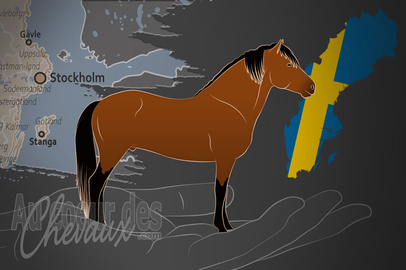 La Svenska Russavelsf�reningen un organisme de race en Su�de