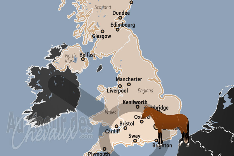 Sway, �picentre de la tradition du poney new forest et du syst�me des � commoners �