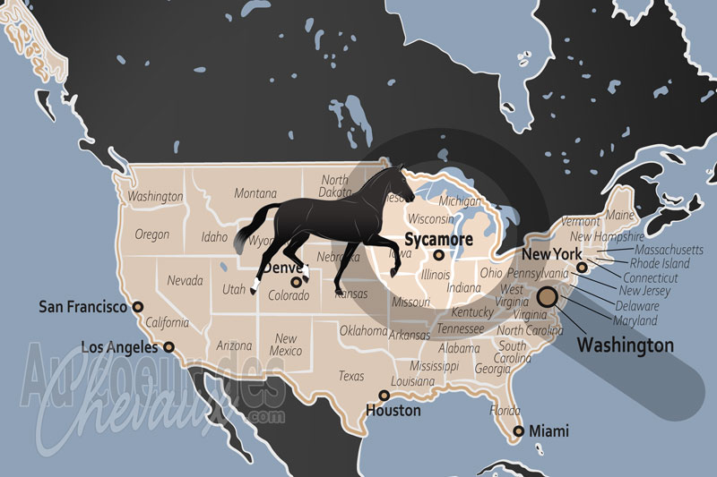 La localisation de Sycamore aux �tats Unis