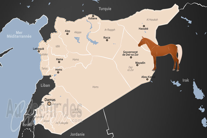 La Syrie, berceau de la noblesse arabe et r�silience du patrimoine