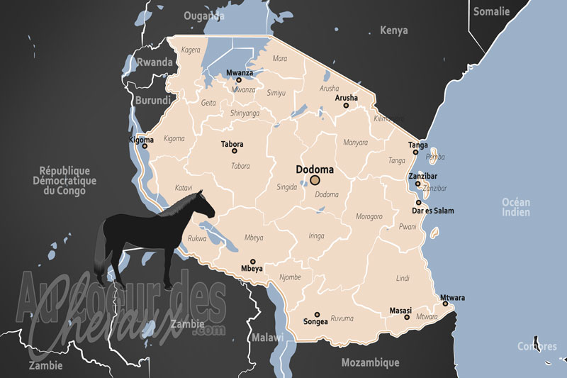 La Tanzanie, entre safari de luxe et d�fis de la savane
