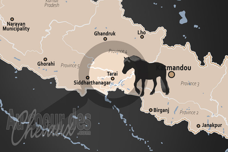 Tarai, la marche ardente des plaines n�palaises