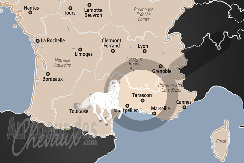 Tarascon, �picentre de la tradition �questre proven�ale et porte de la camargue
