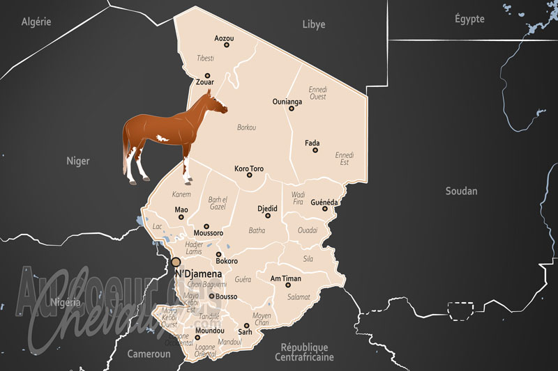 Le Tchad, prestige sah�lien et r�silience pastorale