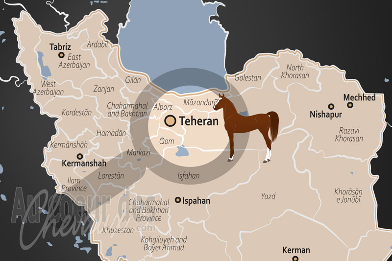 T�h�ran, entre h�ritage imp�rial et modernit� du sport �questre perse