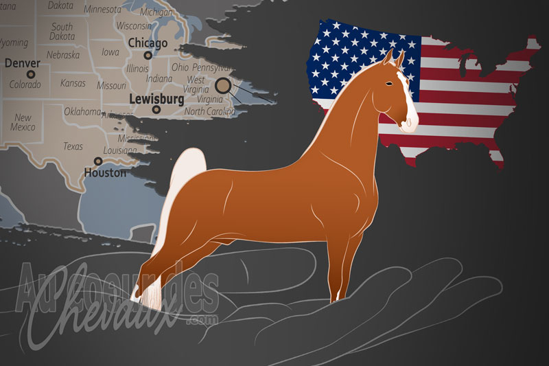 La Tennessee Walking Horse Breeder's Association of America un organisme de race aux �tats Unis