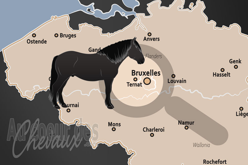 Ternat, carrefour de l'�l�gance sportive et du patrimoine braban�on