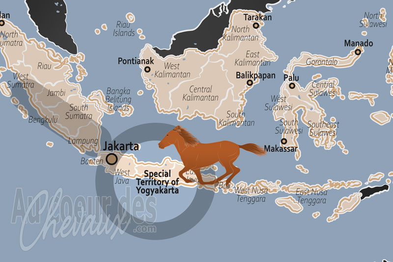 Le Territoire Sp�cial de Yogyakarta, le galop sacr� au c?ur de l'�me javanaise