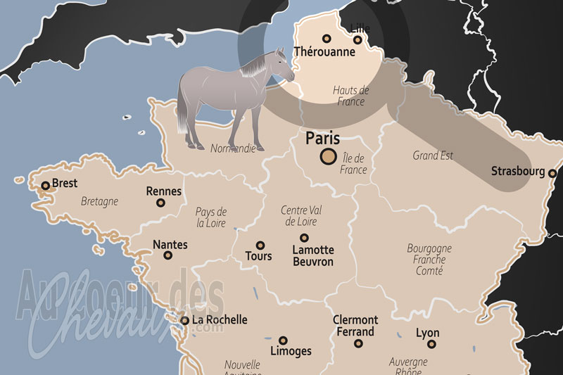 La localisation de Th�rouanne en France