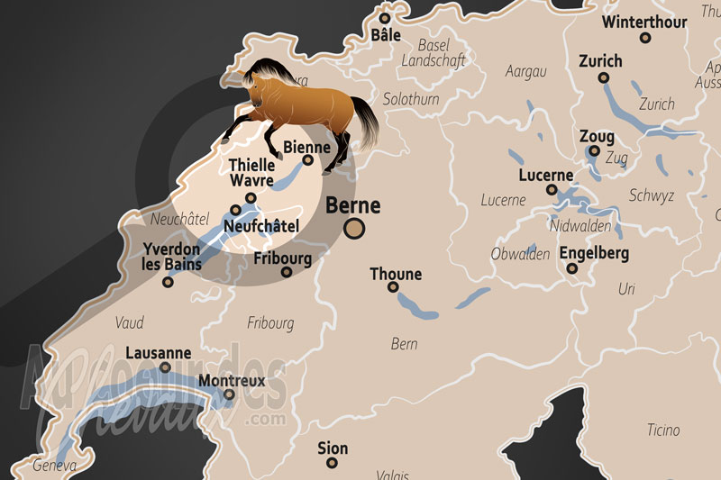 La localisation de Thielle Wavre en Suisse