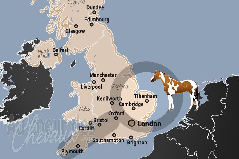 Tibenham, tradition rurale et dynamisme �questre au c?ur du norfolk
